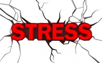 Stress ảnh hưởng tới cơ thể như thế nào?
